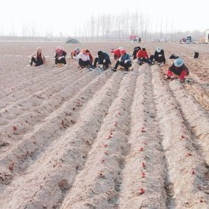 發(fā)貨現(xiàn)場