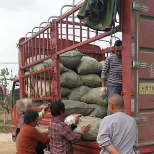 發(fā)貨現(xiàn)場