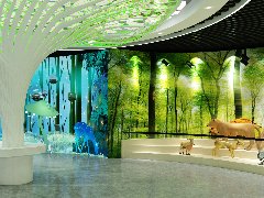 湖南南嶺自然科普館